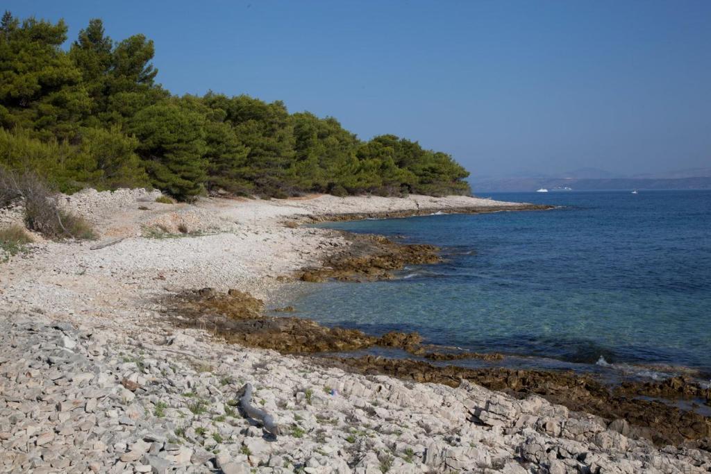 Villa Dinka Sutivan Δωμάτιο φωτογραφία